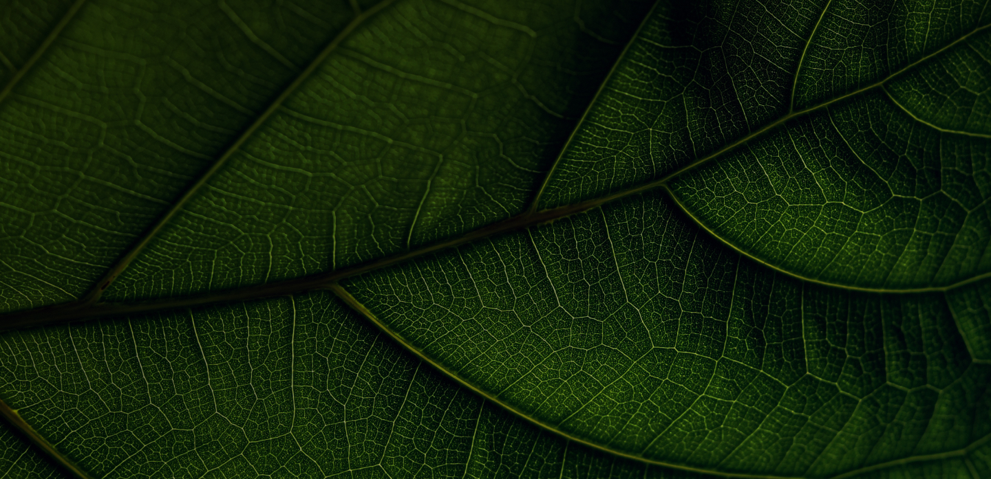 Banner Um futuro que já começou
